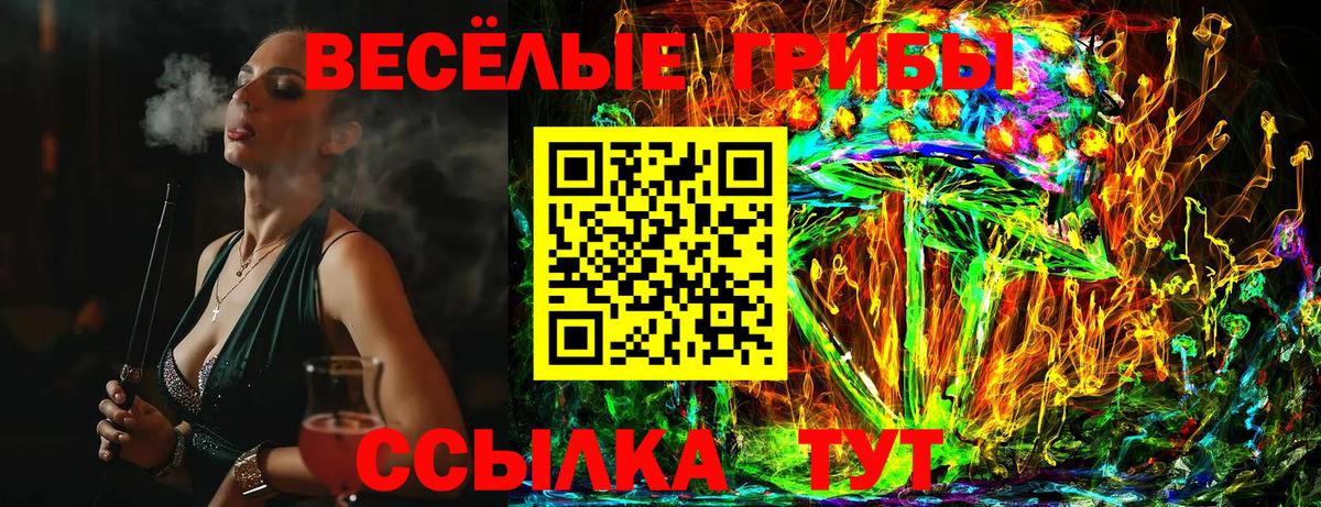 Псилоцибиновые грибы Cubensis Самара